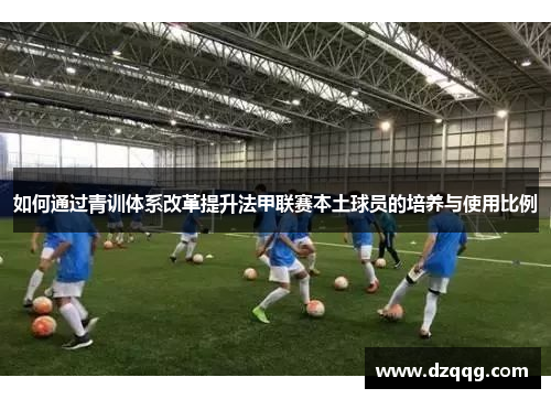 如何通过青训体系改革提升法甲联赛本土球员的培养与使用比例